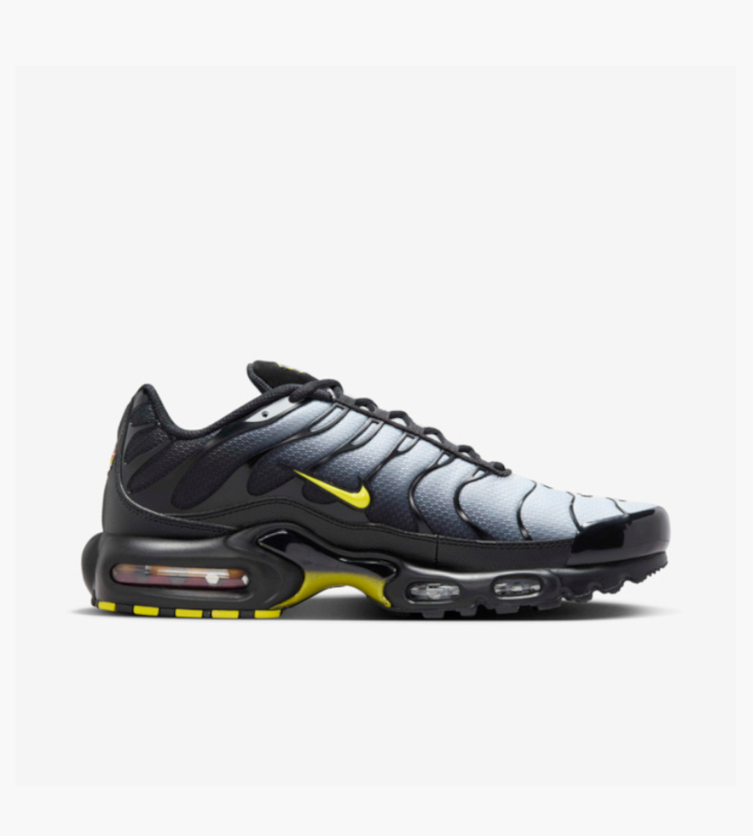 Chaussures Nike Air Max Plus Tn Noir Dore Requin