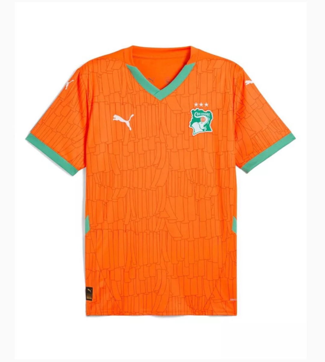 Maillot Puma Equipe de Cote d Ivoire 2025 Domicile Orange