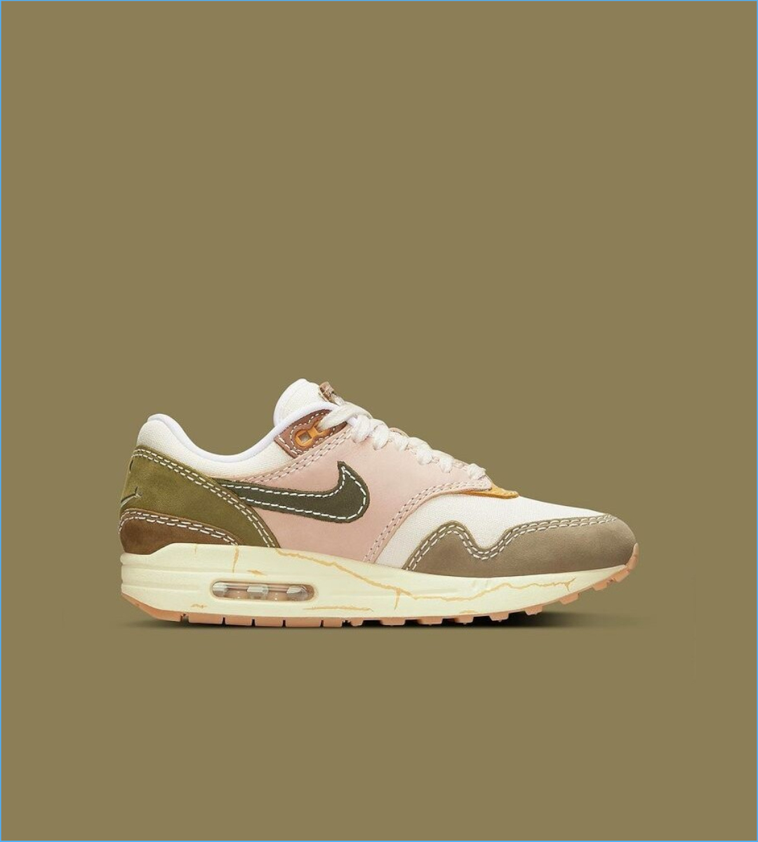 Nike Air Max 1 Premium DQ8656